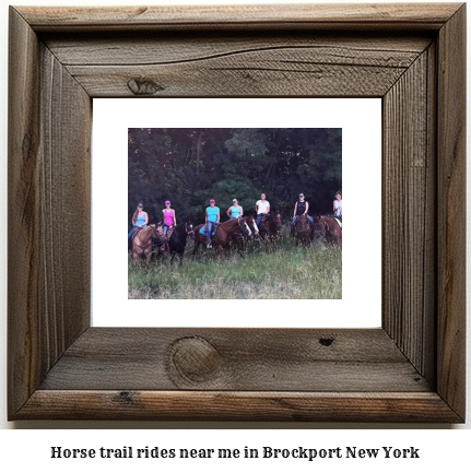 horse trail rides near me in Brockport, New York